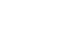 Plug Electric
